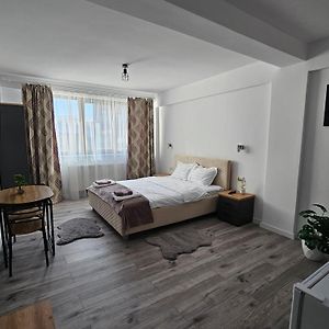 Didi Apartament Craiova Room photo