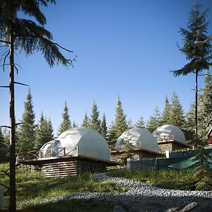 Gm Eco Bubble Yablunytsya Exterior photo