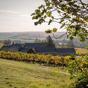 Domaine Beausejour Panzoult Exterior photo