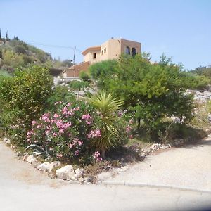 Private Villa With Private Pool In The Mountains 20 Mins From Beach Almeria Exterior photo