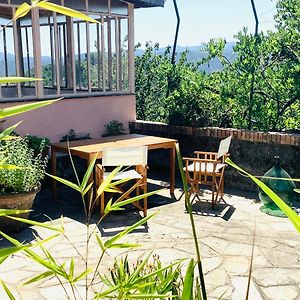 Artists' Holiday Home Near Cinque Terre - 4 Bedrooms, Large Terrace, Great Views Groppo (La Spezia) Exterior photo