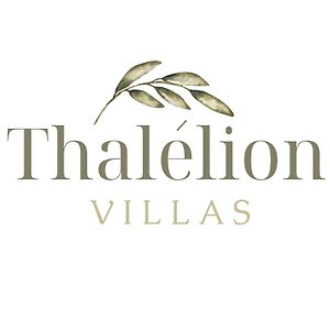 Thalelion 3 Bedroom Villas With Private Pool And Jacuzzi Naxos City Exterior photo