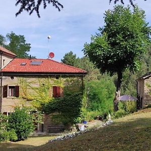 Porcaticcio, Ferienhaus Im Wald Mit Pool - B51971 Casola Valsenio Exterior photo