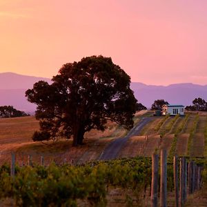 Hounds Run Vineyard - Tiny House In The Grampians Great Western Exterior photo