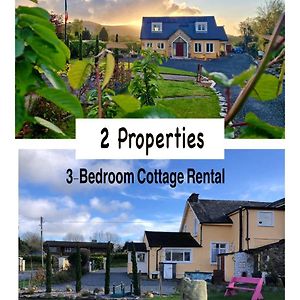 5-Star B&B And Cottage Rental "Mon Petit Cottage" Bunclody Exterior photo