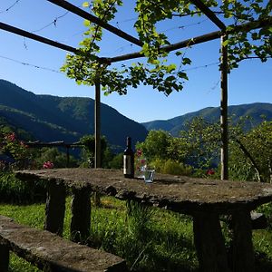 Wild Valley Garden Paradise In Valle Onsernone Auressio Exterior photo