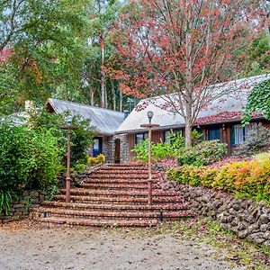 Sunshine Forest Garden Emerald Exterior photo