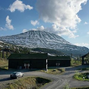 Laegenhet Med Utsikt Mot Gaustatoppen, Ski In Ski Out Gaustablikk Exterior photo