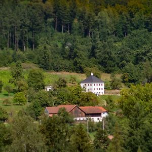 Trattnachtaler Weinhaus Schlusslberg Exterior photo