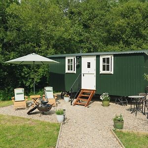 Collen Llanarth (Ceredigion) Exterior photo