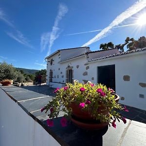 Casanova Country Villa Santo António das Areias Exterior photo