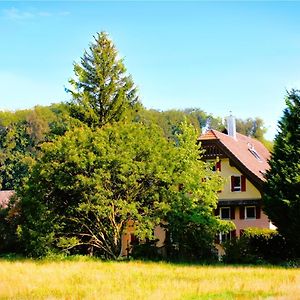 Nisihof, Seeblick Family Or Singel Oberkirch Exterior photo