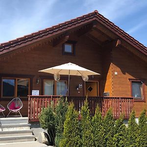 Beautiful Log Cabin Near Wildkogel Arena Sulzau Exterior photo