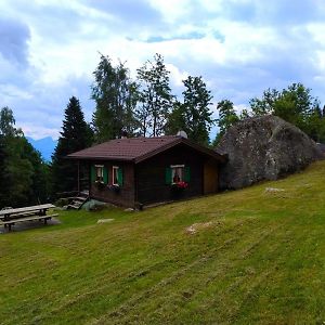 Chalet Al Sasso Da Pino, Telve Ospitar Exterior photo