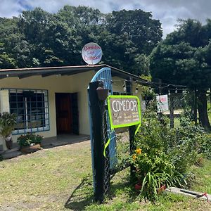 Bambito'S Cafe & Hostel Cerro Punta Exterior photo