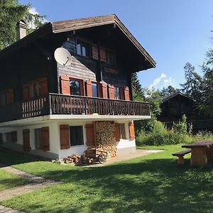 Chalet Maennertreu Og Bellwald Exterior photo