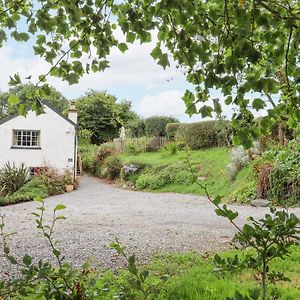 Hole Farm Stables Newton Abbot Exterior photo