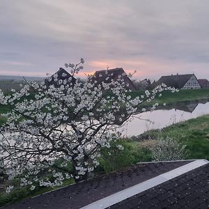 Luehe Loft - Direkt Am Wasser Im Alten Land Mittelnkirchen Exterior photo