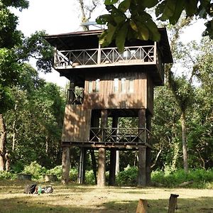 Typical Nepali Kitchen - No Pizza - No Pasta - No Problem !! Sauraha Exterior photo