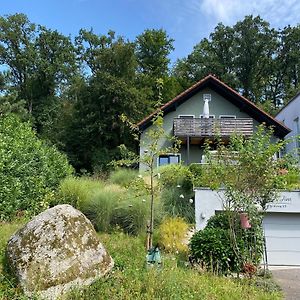 Jules&Jim Gaestehaus Linz Exterior photo