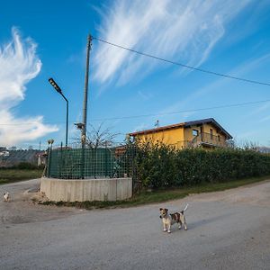 Roberta House Isernia Exterior photo