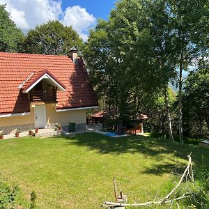 Mountain Vila In Ponikva Kočani Exterior photo