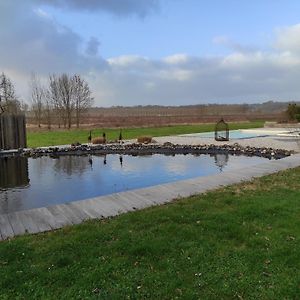 Grand Gite Avec Piscine Maison Port Valade Tabanac Exterior photo