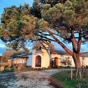 Le Castel De Lamothe Sauternes Exterior photo