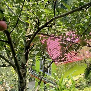 Apple Blossom Hideaway Narkanda Shimla Exterior photo