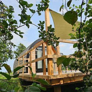 Tiny House De Skierroek Westergeest Exterior photo