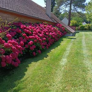 Gite De Miprovent Lamotte-Beuvron Exterior photo