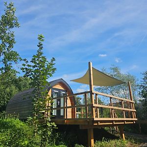 Tiny House De Piiptsjilling Westergeest Exterior photo