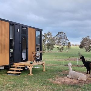 Grampians Views Moyston By Tiny Away Exterior photo