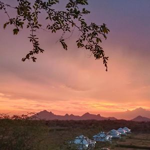 The Bagheera Bagh Jawai Bera Exterior photo