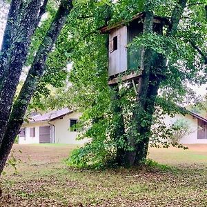 Le Refuge Des Bois Villandraut Exterior photo