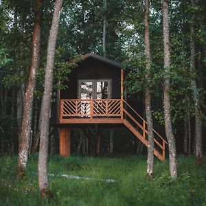 Hekso Treehouse Kirikukula (Parnu) Exterior photo