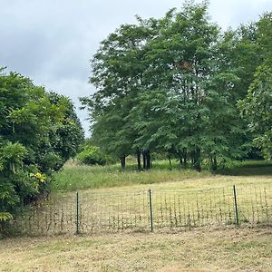 Domain De Montvert - 5 Min From Saint Emilion Sainte-Terre Exterior photo