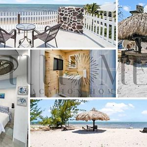 Beach View Room Barnacle Bed And Breakfast Deers Front Beach Suite Big Pine Key Exterior photo