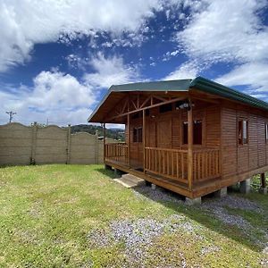 Cabana Tulipanes - Cozy Cabin In An Awesome Place! Jardín Exterior photo