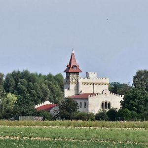 Burg Schleibnitz Bei Wanzleben Wanzleben-Borde Exterior photo