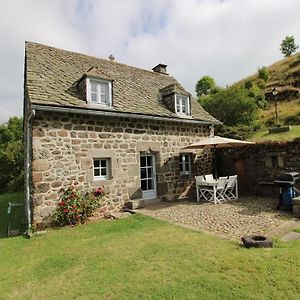 Charmante Maison Au Coeur Du Parc Des Volcans D'Auvergne, Ideale Pour 4 Pers Avec Cheminee Et Jardin - Fr-1-742-371 Albepierre-Bredons Exterior photo