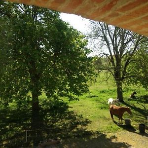 Ecrin De Nature Villemur-sur-Tarn Exterior photo