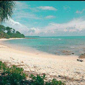 Mallick Palace Neil Island South Andaman Ram Nagar Exterior photo