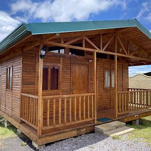 Cabana Girasoles - Cute Cabin With Amaizing Views! Jardín Exterior photo