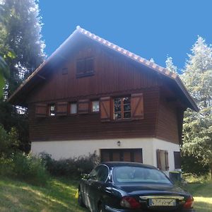 Chalet Du Lac Saint-Rémy-sur-Durolle Exterior photo