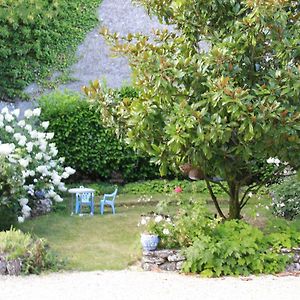 Gite Spacieux Au Coeur Du Val De Loire, Entre Orleans Et Blois, Avec Jardin, Cour Fermee Et Bbq ! - Fr-1-590-106 Tavers Exterior photo