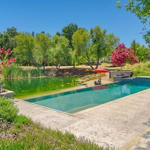 Fairytale Retreat At Uc Davis Pool Lake Kitchen Exterior photo