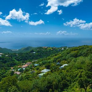 Domaine Madinina Le Morne-Vert Exterior photo