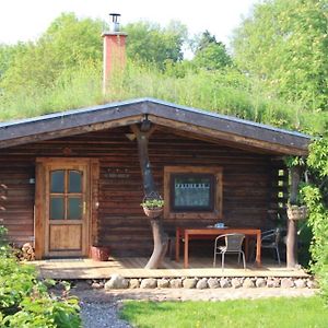 Blockhaus Zahren Penzlin Exterior photo