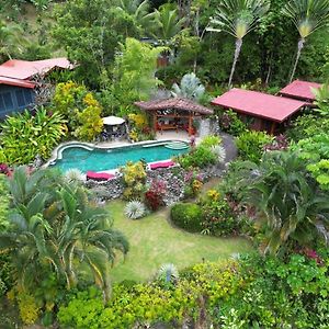 Toucan Villa -Riverfront With Pool & Near A Beach Uvita Exterior photo